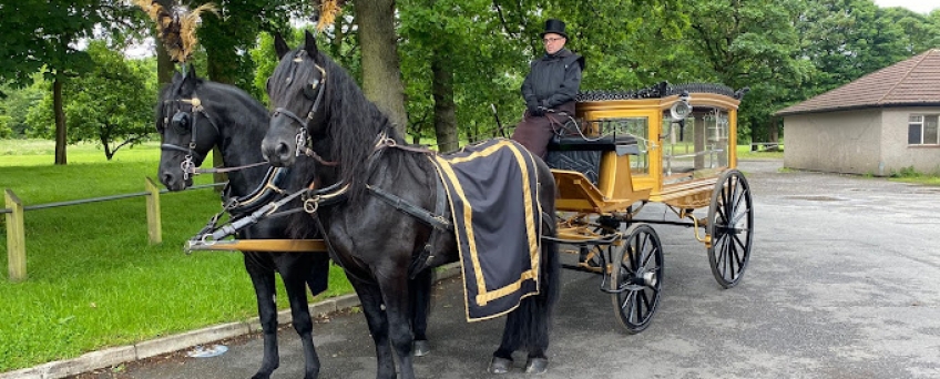 horse drawn gold
